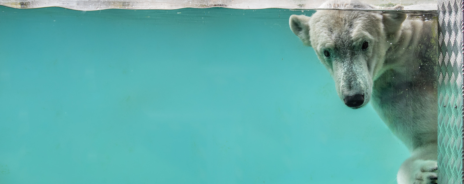 ontdek wereldse natuur