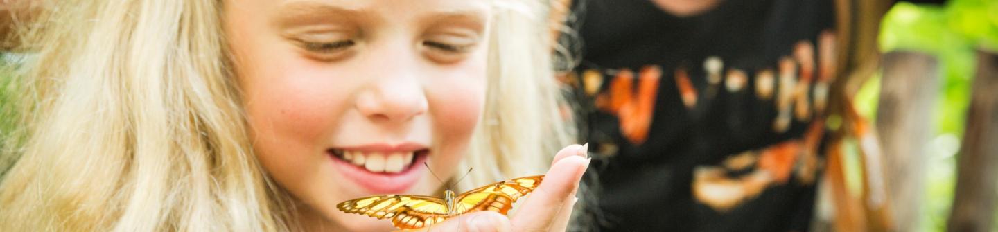 Banner meisje vlinder op hand