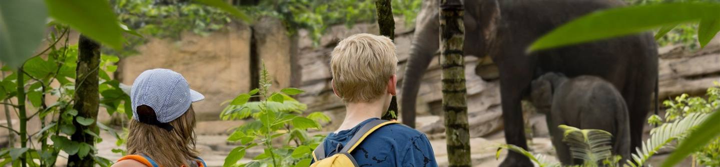 Excursie Zonnepaleis