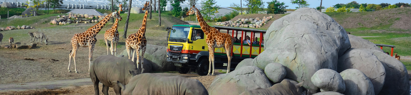 Savanne truck giraffen neushoorn